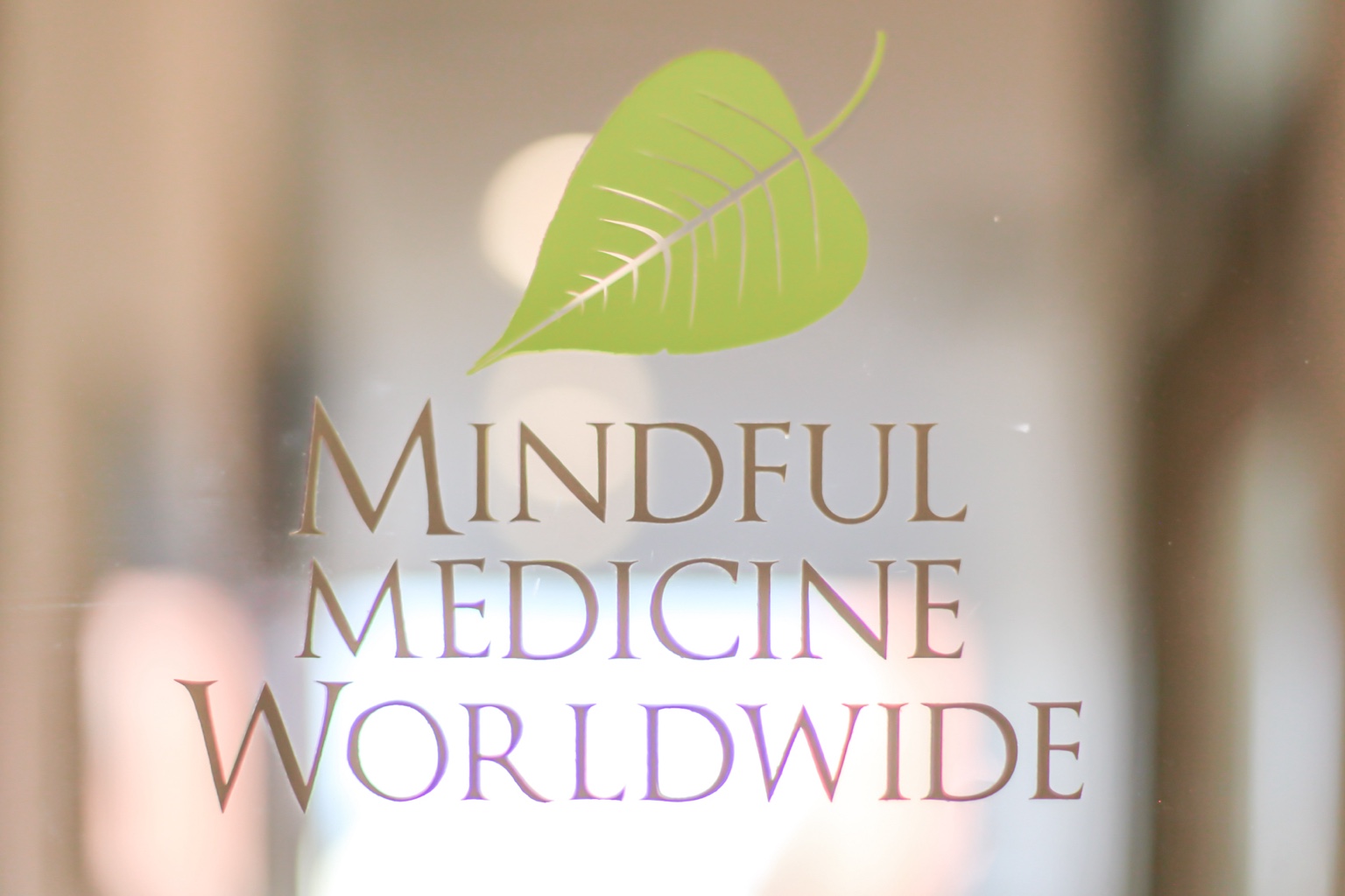 Mindful Medicine